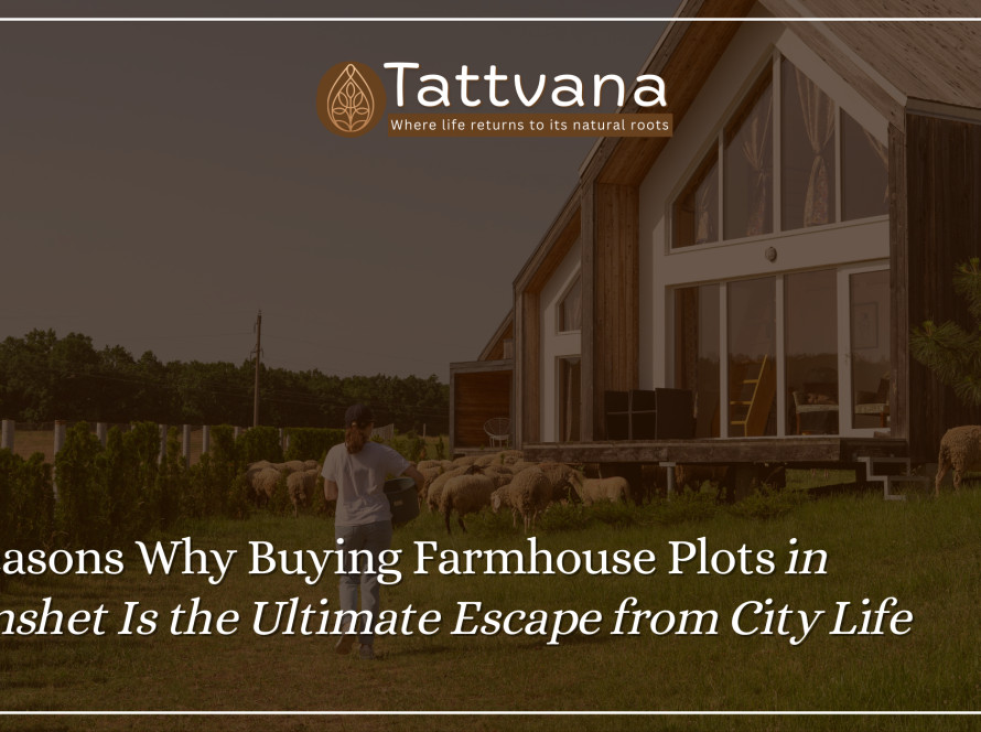 7 Reasons Why Buying Farmhouse Plots in Kamshet Is the Ultimate Escape from City Life