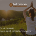 Scenic Plots in Nesave: A Smart Investment for Nature Lovers