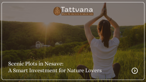 Scenic Plots in Nesave: A Smart Investment for Nature Lovers