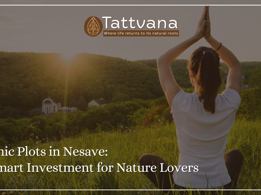 Scenic Plots in Nesave: A Smart Investment for Nature Lovers